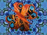 by Nira Dabush