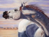 by Katherine Taylor-Green