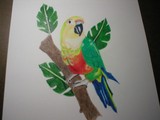 by Stevie  