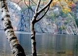 by Randy McCullough