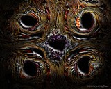 by Carl Huffman