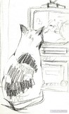 by Lynne Chrapliwy