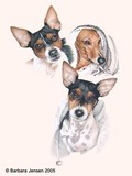 by Barbara  Jensen
