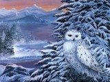 by Linda Malone
