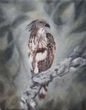 by Terrie K