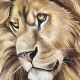 by nicolee payne
