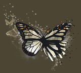 by tracer voet