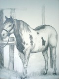 by donald penwell