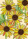 by Rachel  McSwan