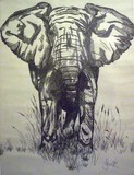 by jes kilroy