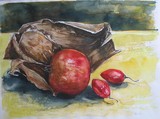 by Ingrid Kolster