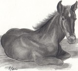 by Renee Y. Lewis