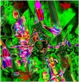 by Barry Huyett