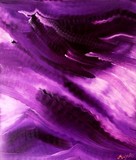 by amira el-fohail