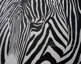 by Sharlene Bruce