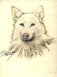 by debra abell