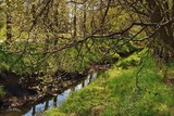 by Sigridur Bachmann