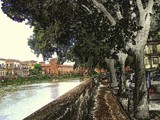 by gianantonio zago marino