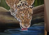 by Sandy Dewar