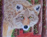 by Wendi Evans