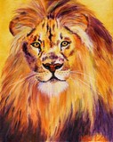 by Wendi Evans