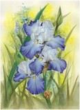 by Barbara Keith
