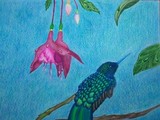 by Venus McDermott