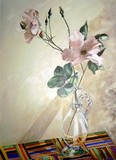 by P. Muzi Branch