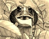 by Charlotte Slayton