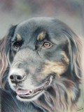 by Hannah Merson