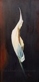 by Marjorie Huwa