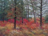 by Cindy Sugg