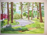 by rosanne mattheson