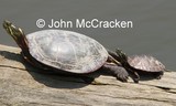 by John McCracken