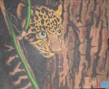 by Jeramie Griffor