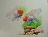 by Tong YM