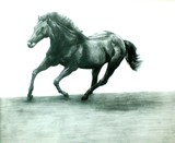 by ramya kapula