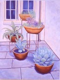 by Robin Miller