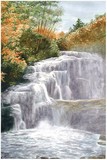 by Penny Johnson