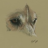by Norma Rowley