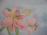 by Chloe Vassallo