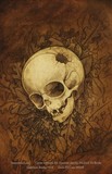by Zach McCain