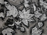 by Darla England