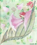 by Kayleigh Mills