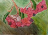 by Rita Benz
