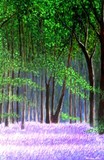by Marie-Line vasseur