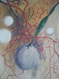 by Gergana Bojikova-Dimova