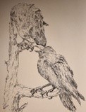 by Ida Foss