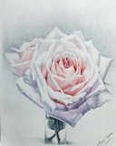 by Katya Wentz
