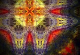 by Snook Berry